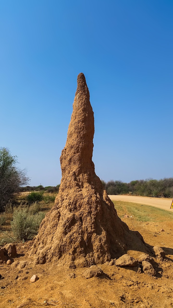 Termito Kalnas, Termitai, Skruzdėlės, Anthill, Termitenbau, Afrika, Namibija, Gamta, Sausas, Heiss