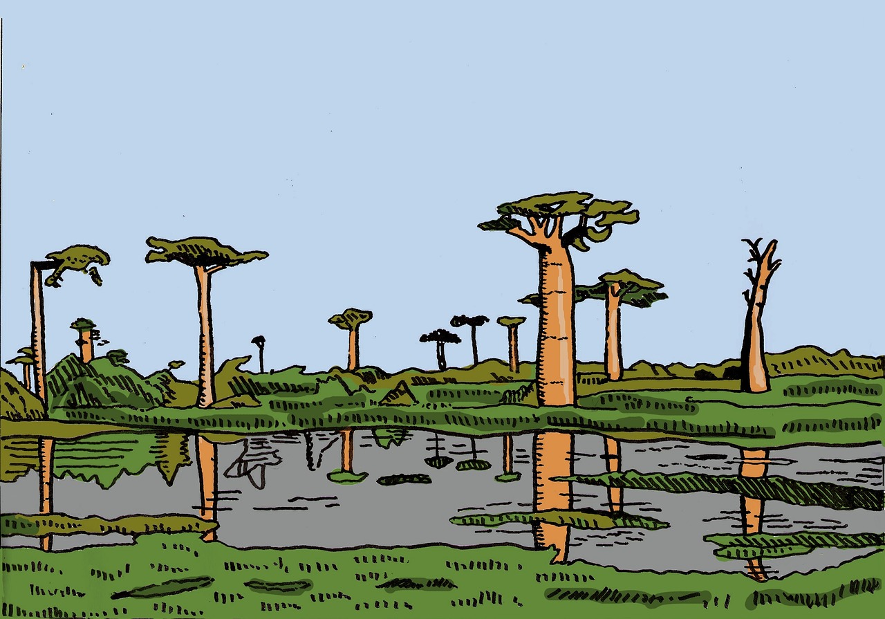 Afrika, Baobabs, Iliustracija, Nemokamos Nuotraukos,  Nemokama Licenzija