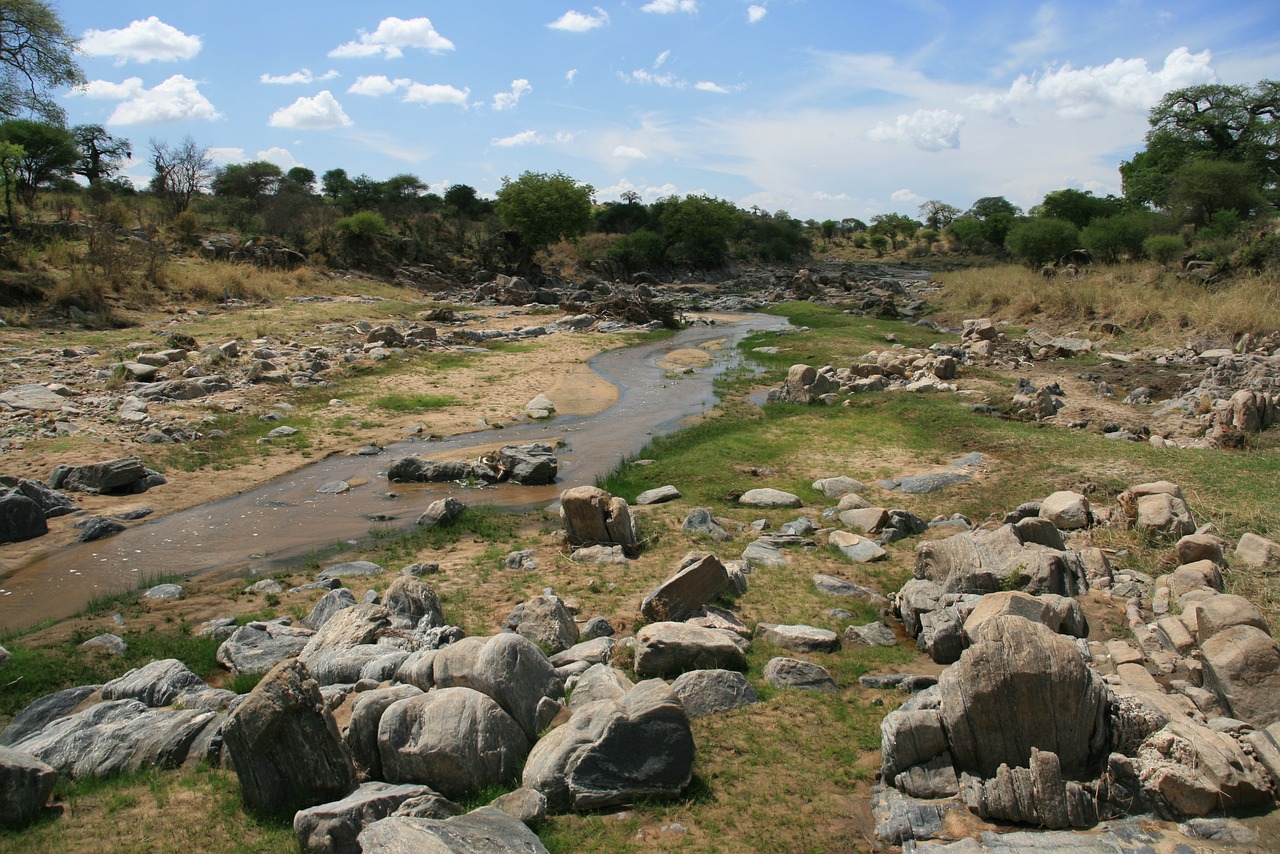 Afrika, Tanzanija, Upė, Krūmas, Safari, Kraštovaizdis, Vanduo, Nemokamos Nuotraukos,  Nemokama Licenzija