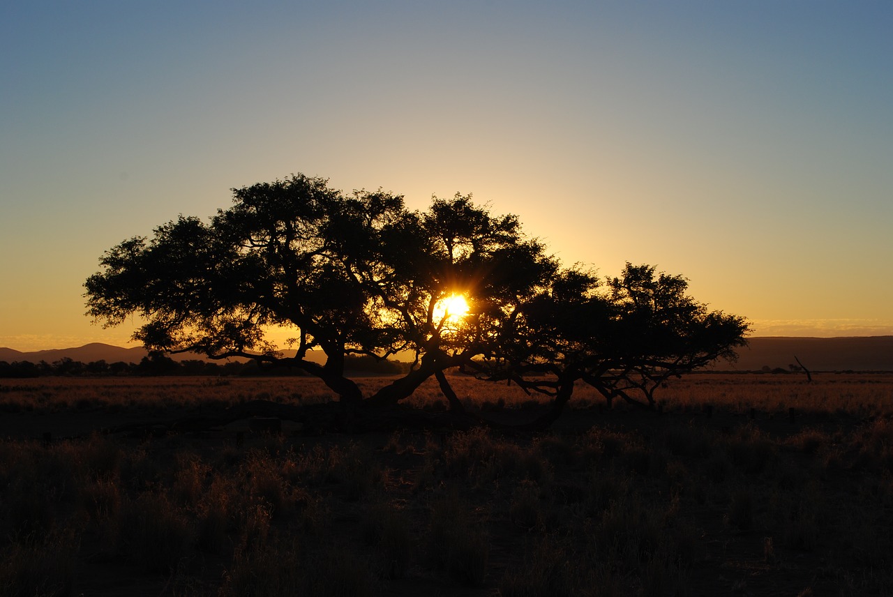 Afrika, Saulėlydis, Namibija, Kraštovaizdis, Medis, Abendstimmung, Saulė, Afterglow, Gamta, Nemokamos Nuotraukos