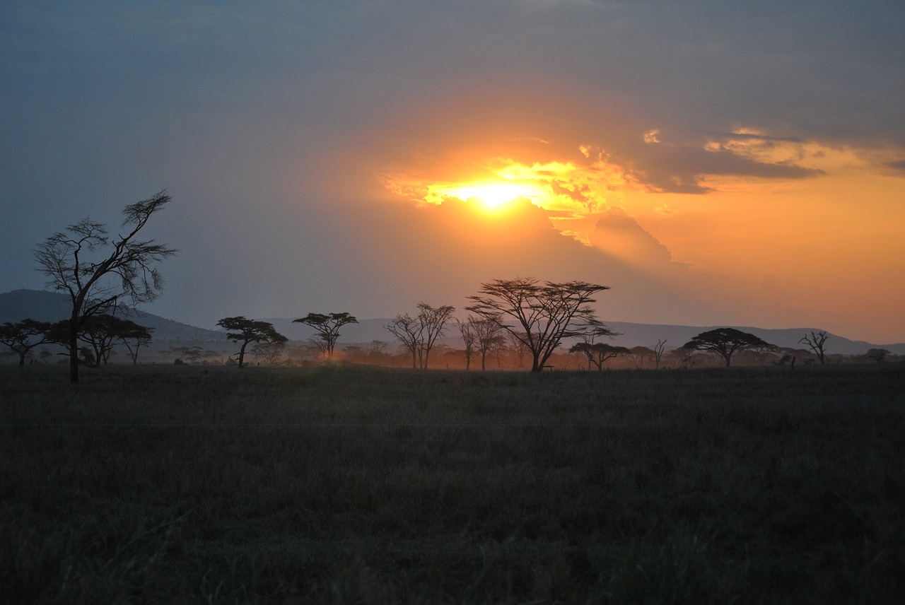 Afrika, Tanzanija, Nacionalinis Parkas, Safari, Serengeti, Saulėlydis, Afterglow, Nemokamos Nuotraukos,  Nemokama Licenzija