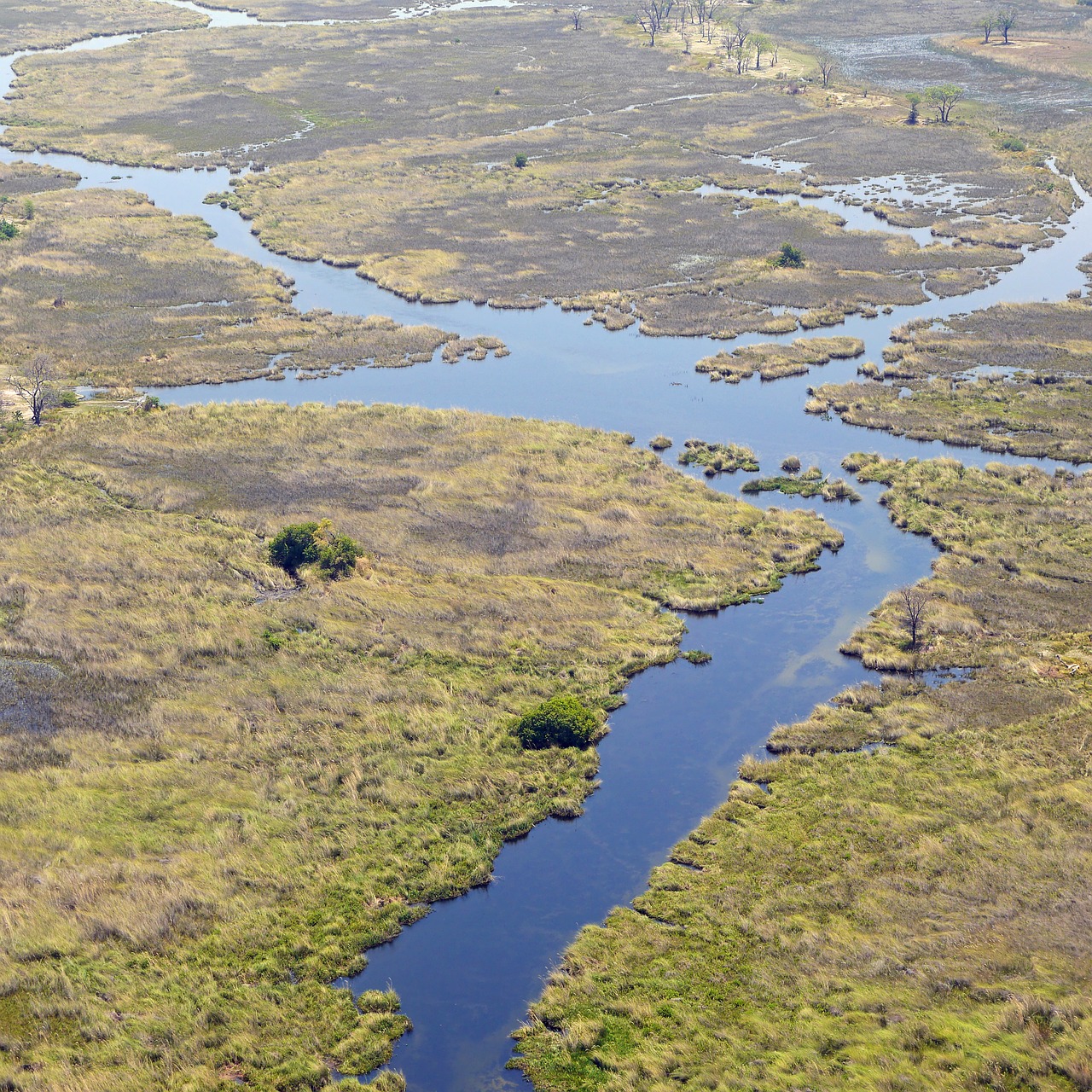 Afrika, Oka, Okavango Delta, Dykuma, Botsvana, Nemokamos Nuotraukos,  Nemokama Licenzija