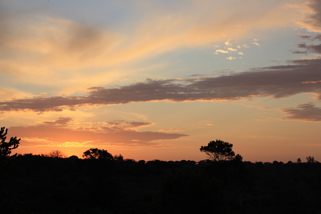 Afrika, Panorama, Kraštovaizdis, Į Pietus, Kelionė, Kaimas, Gamta, Nuotykis, Dangus, Veld