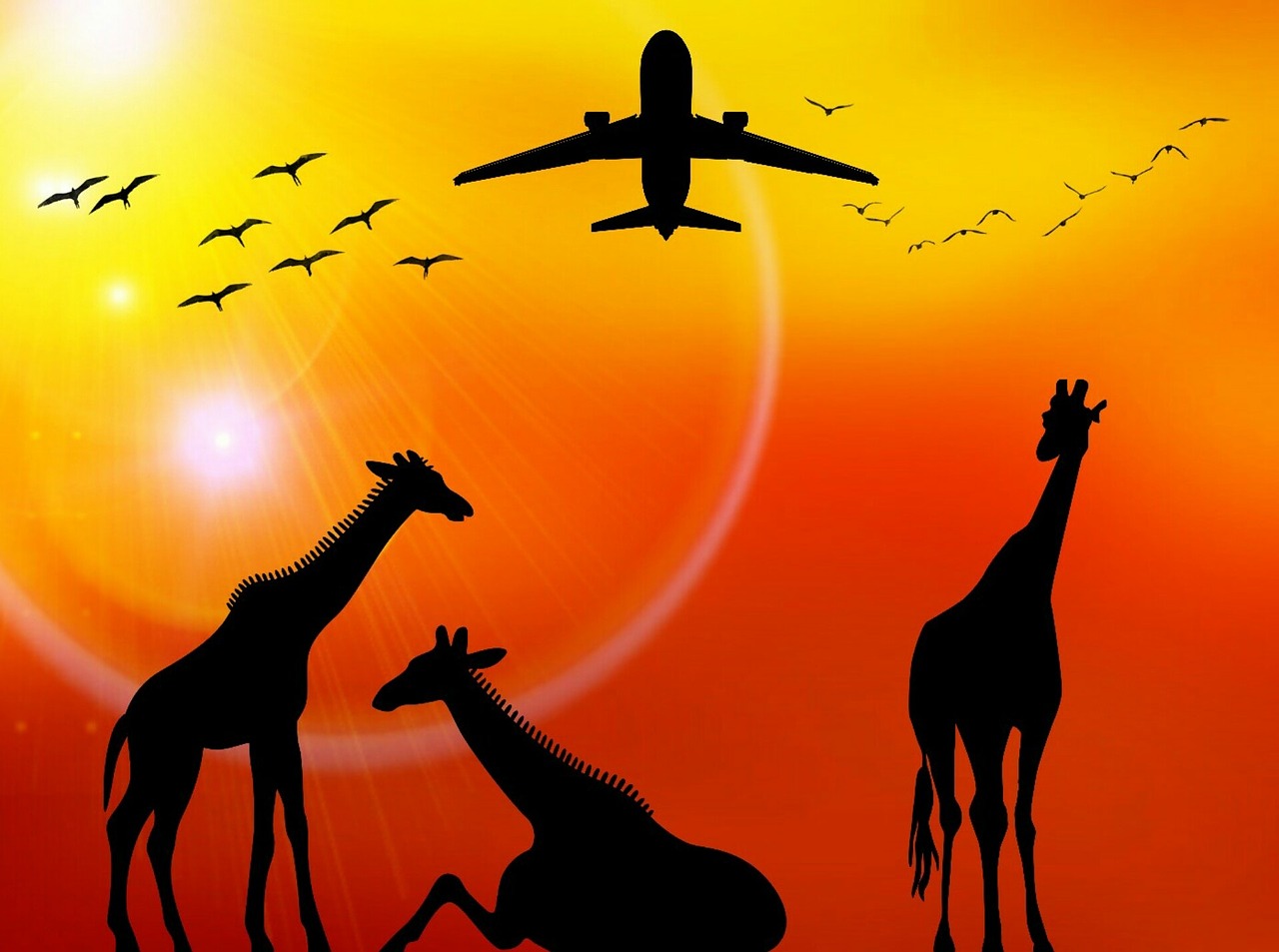 Afrika, Saulė, Šventė, Žirafos, Paukščiai, Orlaivis, Laukinė Gamta, Safari, Nemokamos Nuotraukos,  Nemokama Licenzija