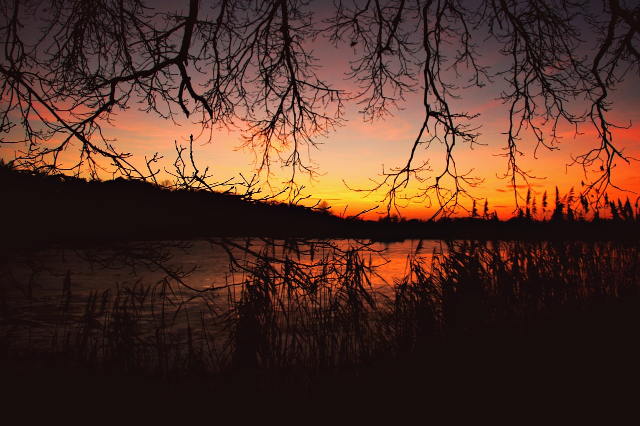 Afterglow, Saulėlydis, Nendrė, Tvenkinys, Žiema, Geras Oras, Švarus Dangus, Gamta, Abendstimmung, Vakarinis Dangus