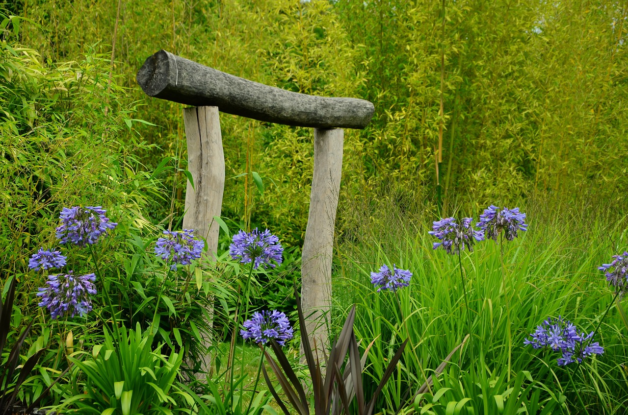 Agapanthus, Sodas, Japonų Vartai, Tikslas, Juvelyriniai Lelijos Šiltnamiai, Žydėti, Flora, Botanika, Žolė, Parkas