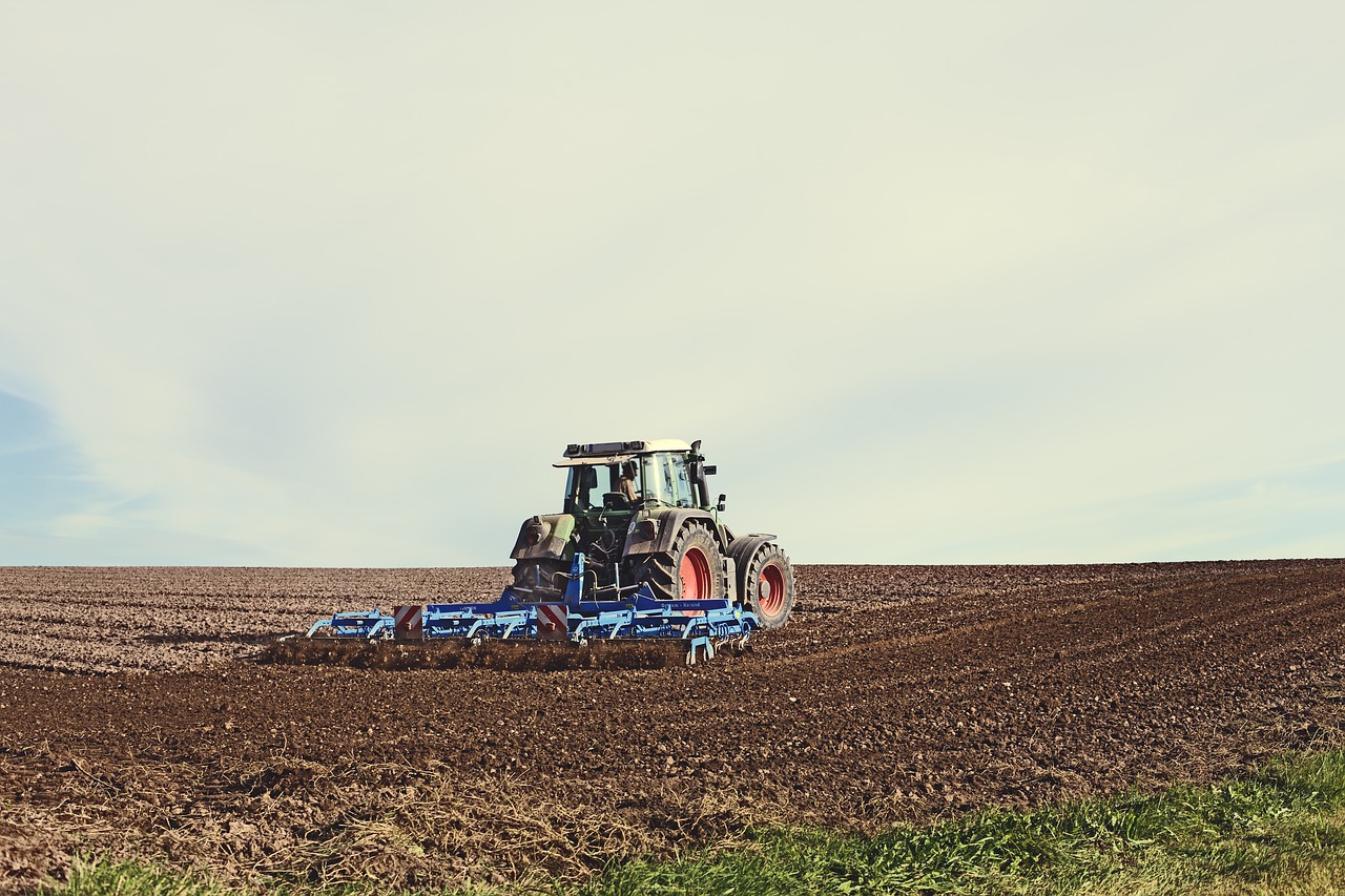 Žemės Ūkio Mašina, Landtechnik, Ūkininkas, Žemdirbystė, Traktorius, Bauer, Laukas, Derlius, Ariamasis, Žemės Ūkio