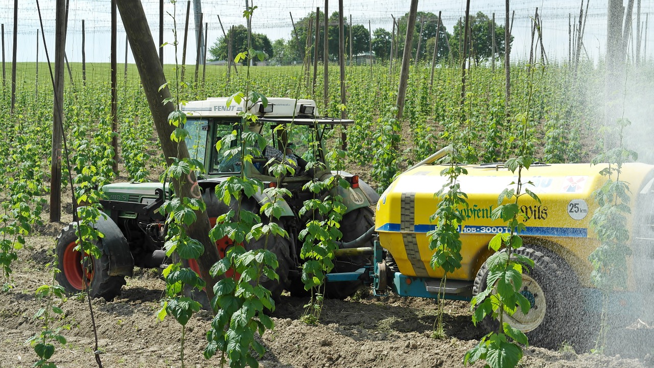 Žemdirbystė, Traktorius, Ariamasis, Žalias, Apyniai, Apynių Auginimas, Bauer, Transporto Priemonė, Darbo Mašina, Žemės Ūkio Technika