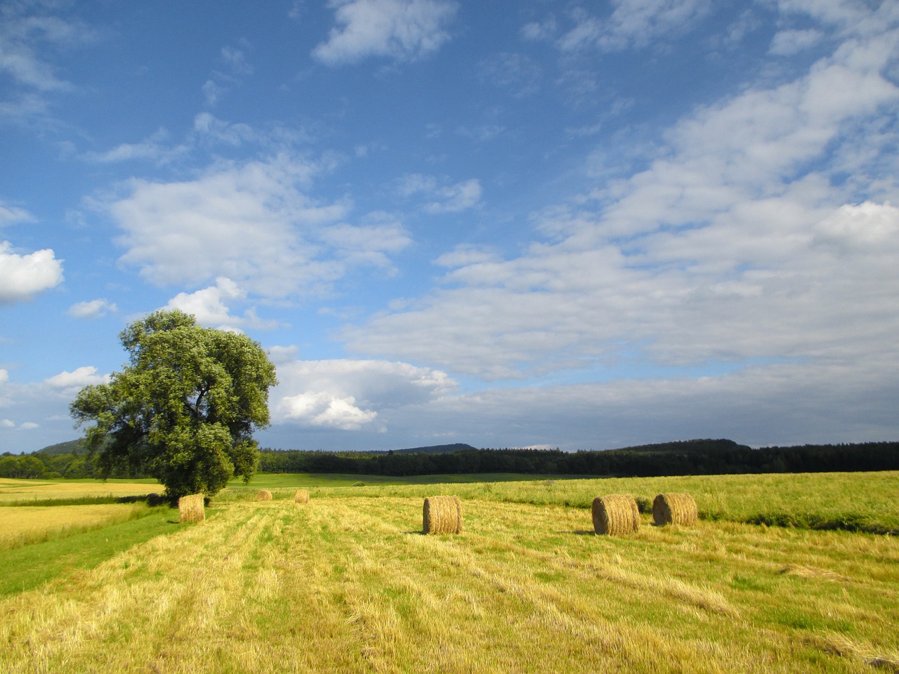 Žemdirbystė, Šiaudai, Šiaudų Dėžė, Derliaus Metas, Debesys, Kiškis, Röhn, Dangus, Nemokamos Nuotraukos,  Nemokama Licenzija