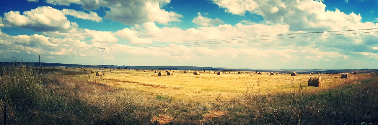 Žemdirbystė, Debesys, Šalis, Kaimas, Ariama Žemė, Aplinka, Ūkis, Ūkininkavimas, Žemės Ūkio Paskirties Žemė, Laukas