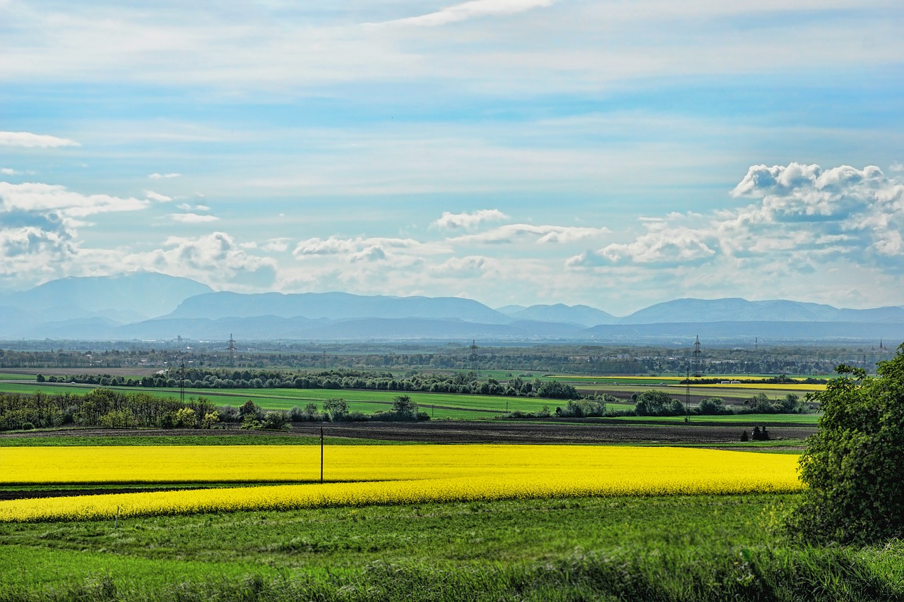 Žemdirbystė,  Laukas,  Pobūdį,  Srityje Rapsų Sėklų,  Dangus,  Pavasaris,  Rapsų Žiedas,  Panorama, Nemokamos Nuotraukos,  Nemokama Licenzija