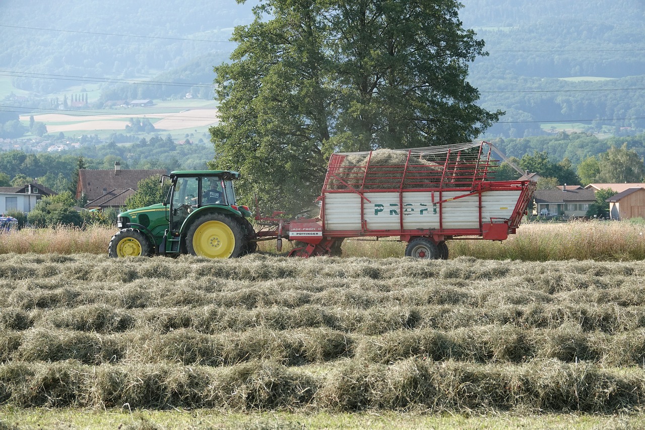 Žemdirbystė,  Hay,  Laukas,  Derlius,  Kraštovaizdis,  Vasara,  Dirvožemis,  Žolė,  Bale,  Derliaus Metas