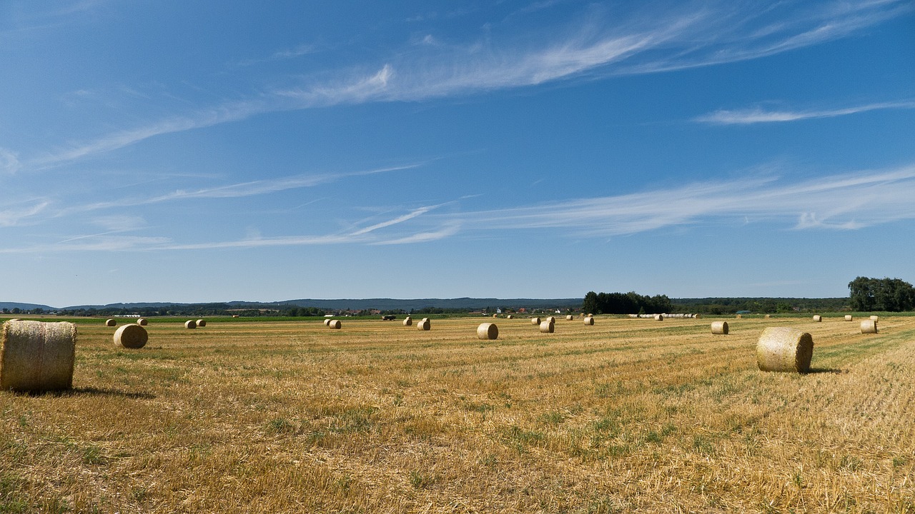 Žemdirbystė, Šiaudai, Rutuliai, Laukai, Kraštovaizdis, Vasara, Nemokamos Nuotraukos,  Nemokama Licenzija