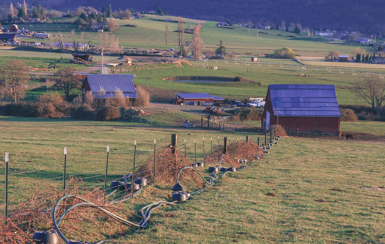 Žemdirbystė, Ūkininkavimas, Oregonas, Kaimas, Žemės Ūkio Paskirties Žemė, Tvartas, Ganykla, Nemokamos Nuotraukos,  Nemokama Licenzija