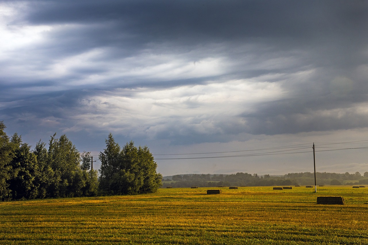 Agrofirmas,  Laukas,  Panoraminis,  Kraštovaizdis,  Be Honoraro Mokesčio, Nemokamos Nuotraukos,  Nemokama Licenzija