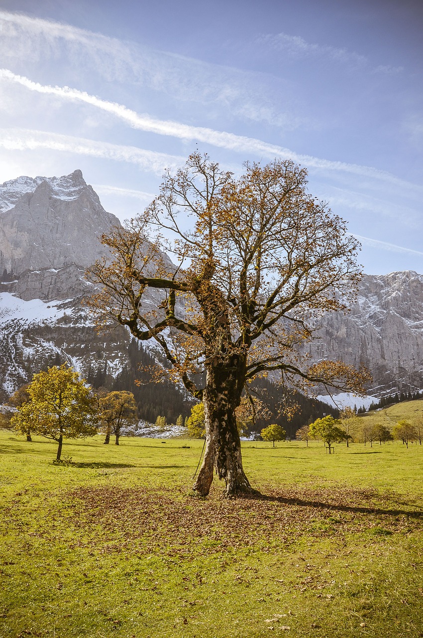 Ahornboden, Klevas, Medis, Ruduo, Kalnai, Karwendel, Alpių, Nemokamos Nuotraukos,  Nemokama Licenzija