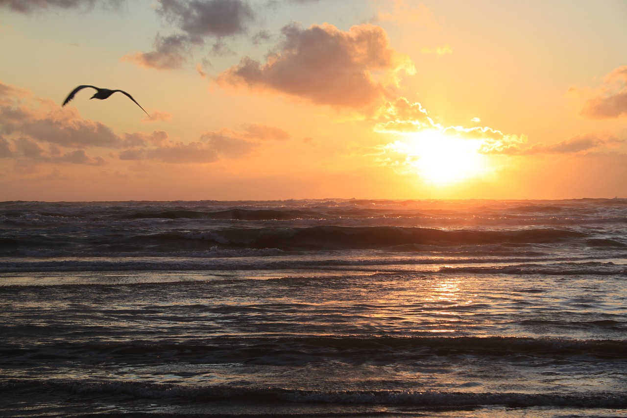 Oras, Zandvoort, Besileidžianti Saulė, Nemokamos Nuotraukos,  Nemokama Licenzija