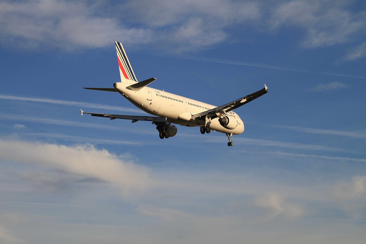 Oro France, Airbus, Aeronautika, Nemokamos Nuotraukos,  Nemokama Licenzija