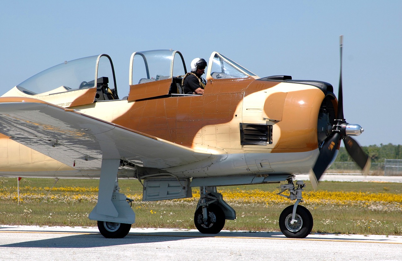 Oro Šou, Kaskadininkų Lėktuvas, Pilotas, Aviacija, Rodyti, Lėktuvas, Dangus, Skrydis, Triukas, Lėktuvas