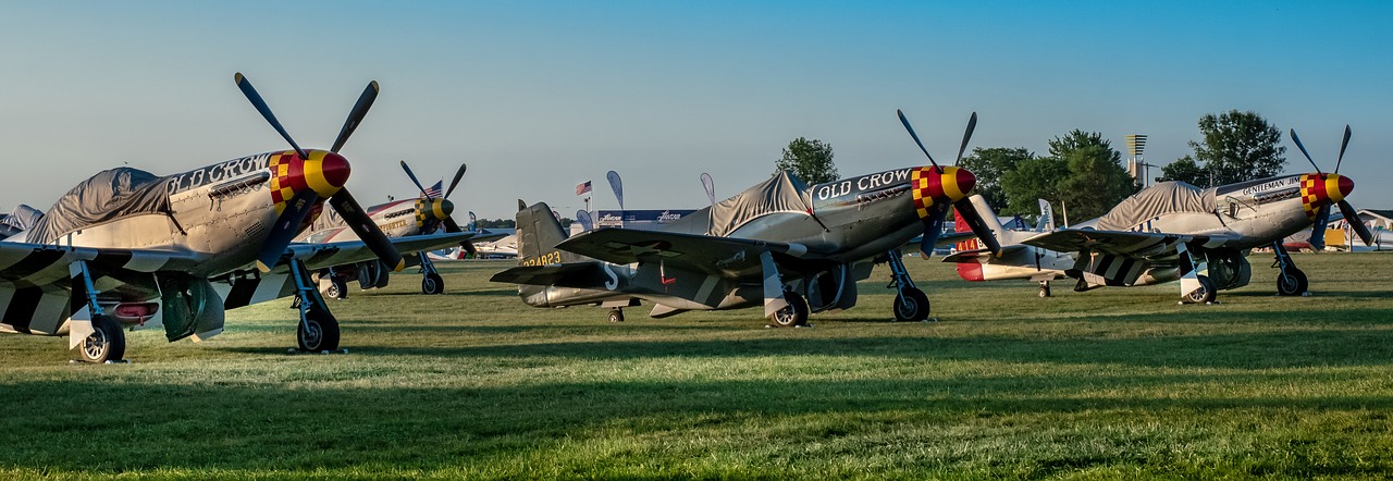 Orlaivių,  Lėktuvas,  Mustang,  Aviacijos,  P-51,  Plokštuma,  Ww2,  Karinė,  Paremtų,  Sparnai