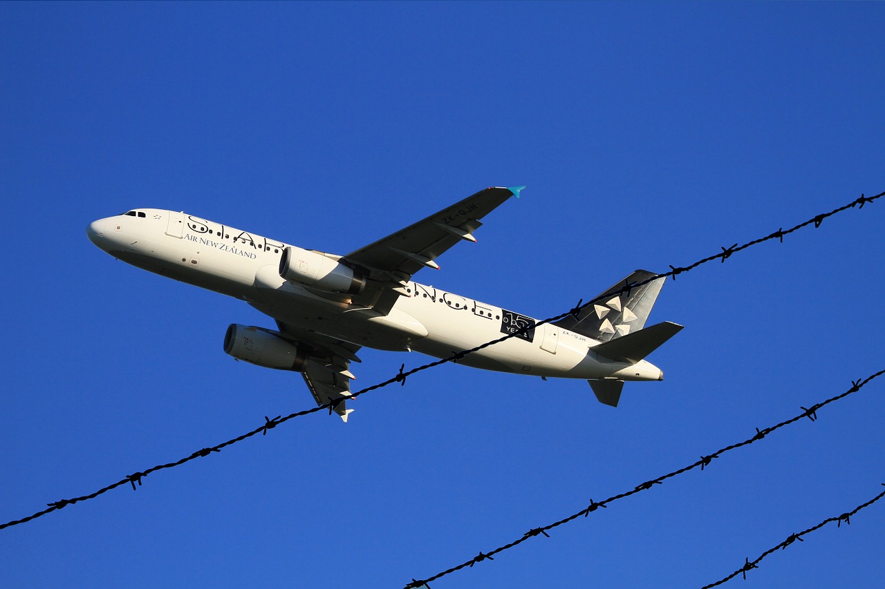 Orlaivio Kilimas, Oro Naujasis Zelandas, Airbus, A320, Keleiviniai Orlaiviai, Auckland, Tvoros Linija, Nemokamos Nuotraukos,  Nemokama Licenzija