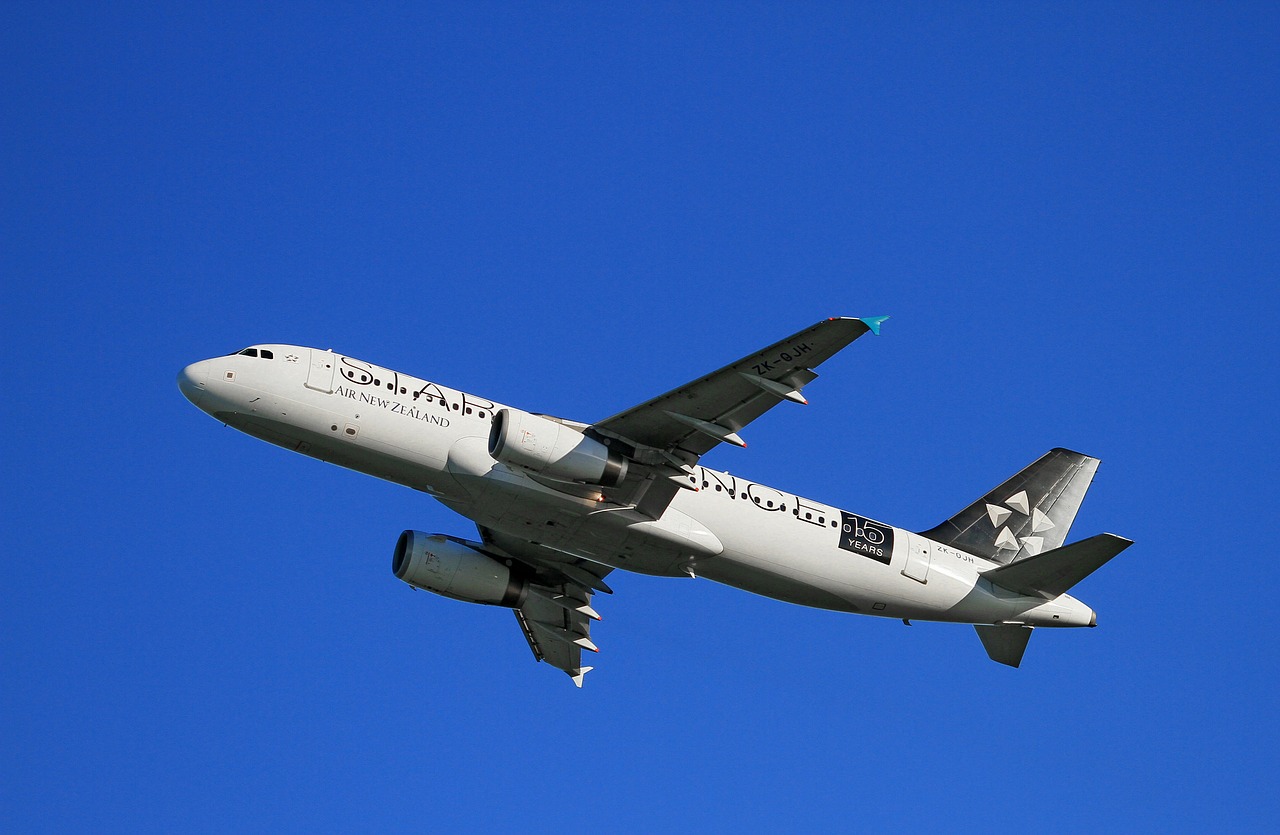 Orlaivio Kilimas, Oro Naujasis Zelandas, Airbus, A320, Keleiviniai Orlaiviai, Auckland, Nemokamos Nuotraukos,  Nemokama Licenzija