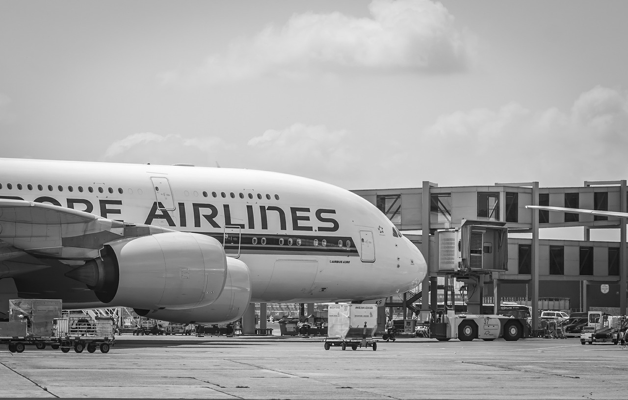 Oro Uostas, Airbus A380, Frankfurtas, Lėktuvas, Nemokamos Nuotraukos,  Nemokama Licenzija