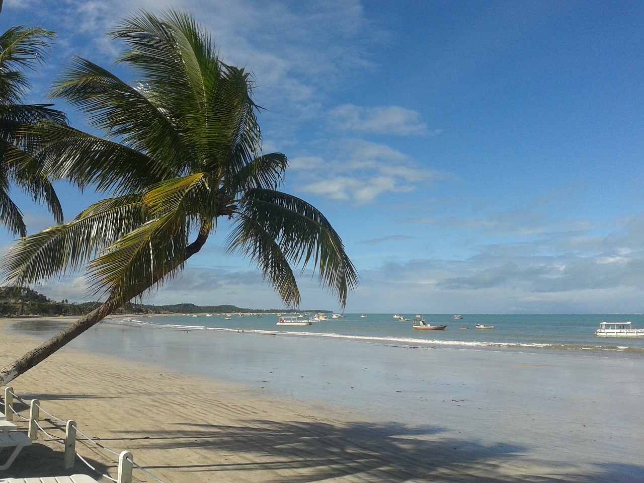 Alagoas, Maragogi, Brazilija, Šiaurės Rytuose, Huh, Sol, Papludimys, Palmės, Gamta, Litoral
