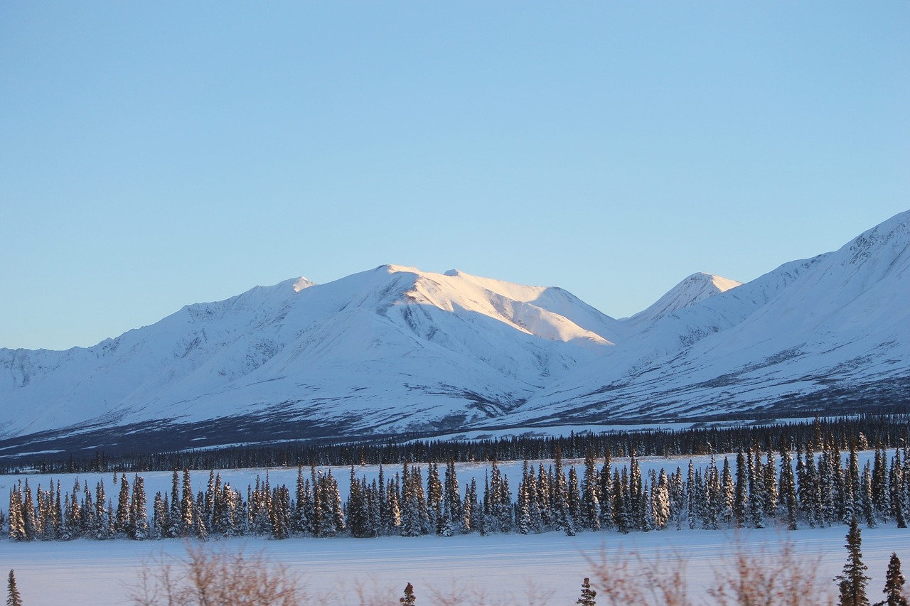 Alaska, Kalnas, Balta, Šaltas, Žiema, Sniegas, Vaizdingas, Dykuma, Dangus, Mėlynas