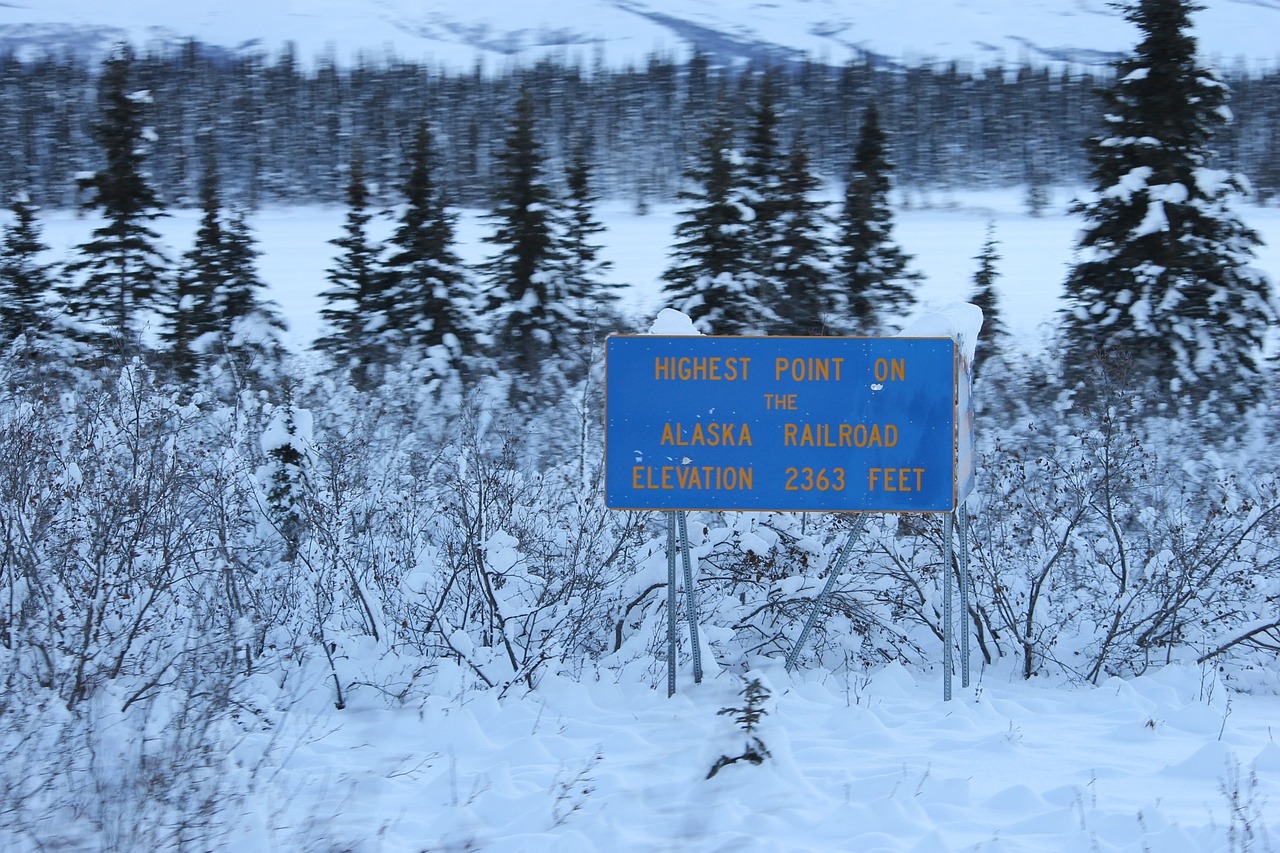 Alaska, Geležinkelis, Kraštovaizdis, Turizmas, Atostogos, Šiaurė, Balta, Dykuma, Pakilimas, Aukščiausias Taškas