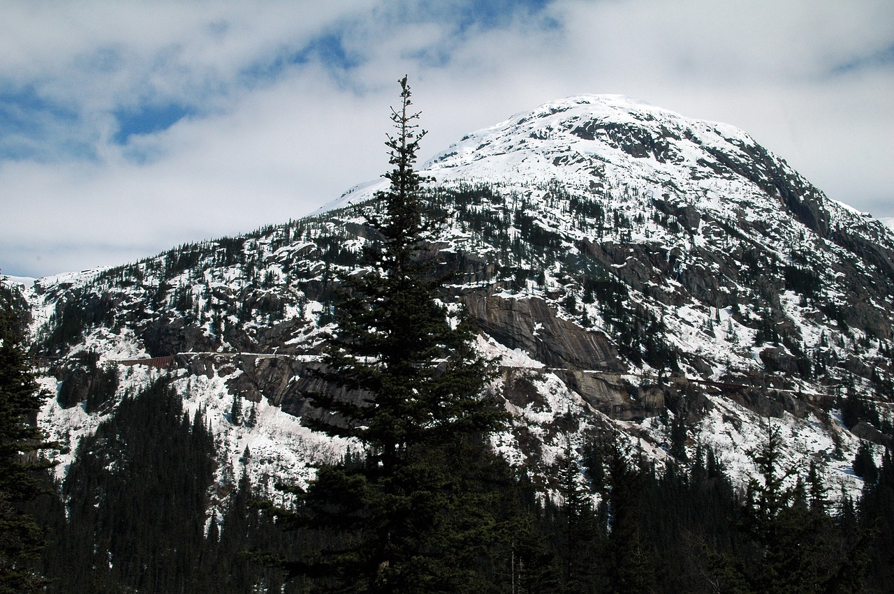 Alaska, Sniegas, Kalnas, Kraštovaizdis, Žiema, Nemokamos Nuotraukos,  Nemokama Licenzija