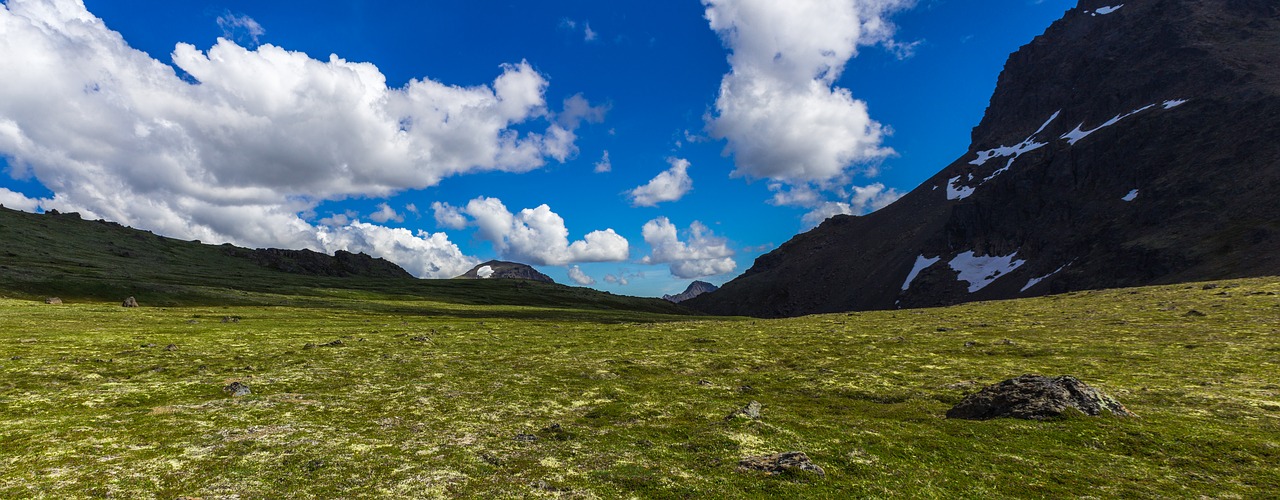 Alaska, Tundra, Gamta, Kraštovaizdis, Parkas, Nacionalinis, Dykuma, Vaizdingas, Šiaurė, Kalnas