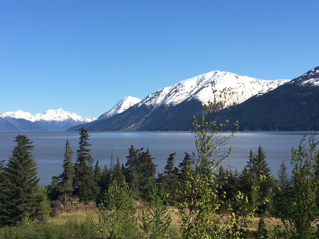 Alaska, Paukščio Taškas, Kalnas, Nemokamos Nuotraukos,  Nemokama Licenzija