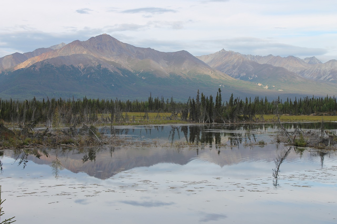 Alaska,  Atspindys,  Dykuma,  Kalnų,  Peizažas, Nemokamos Nuotraukos,  Nemokama Licenzija