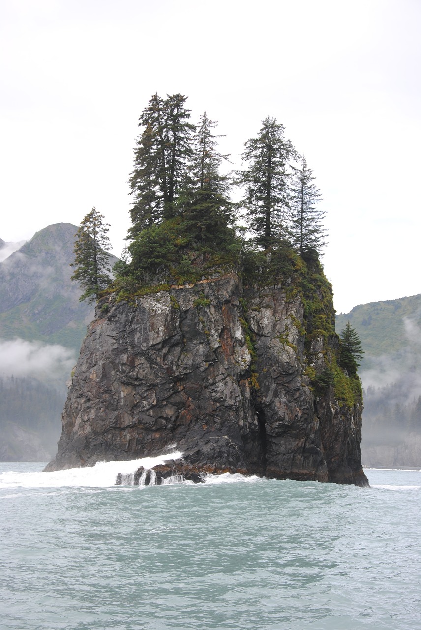 Alaska,  Gamta,  Dykuma, Nemokamos Nuotraukos,  Nemokama Licenzija
