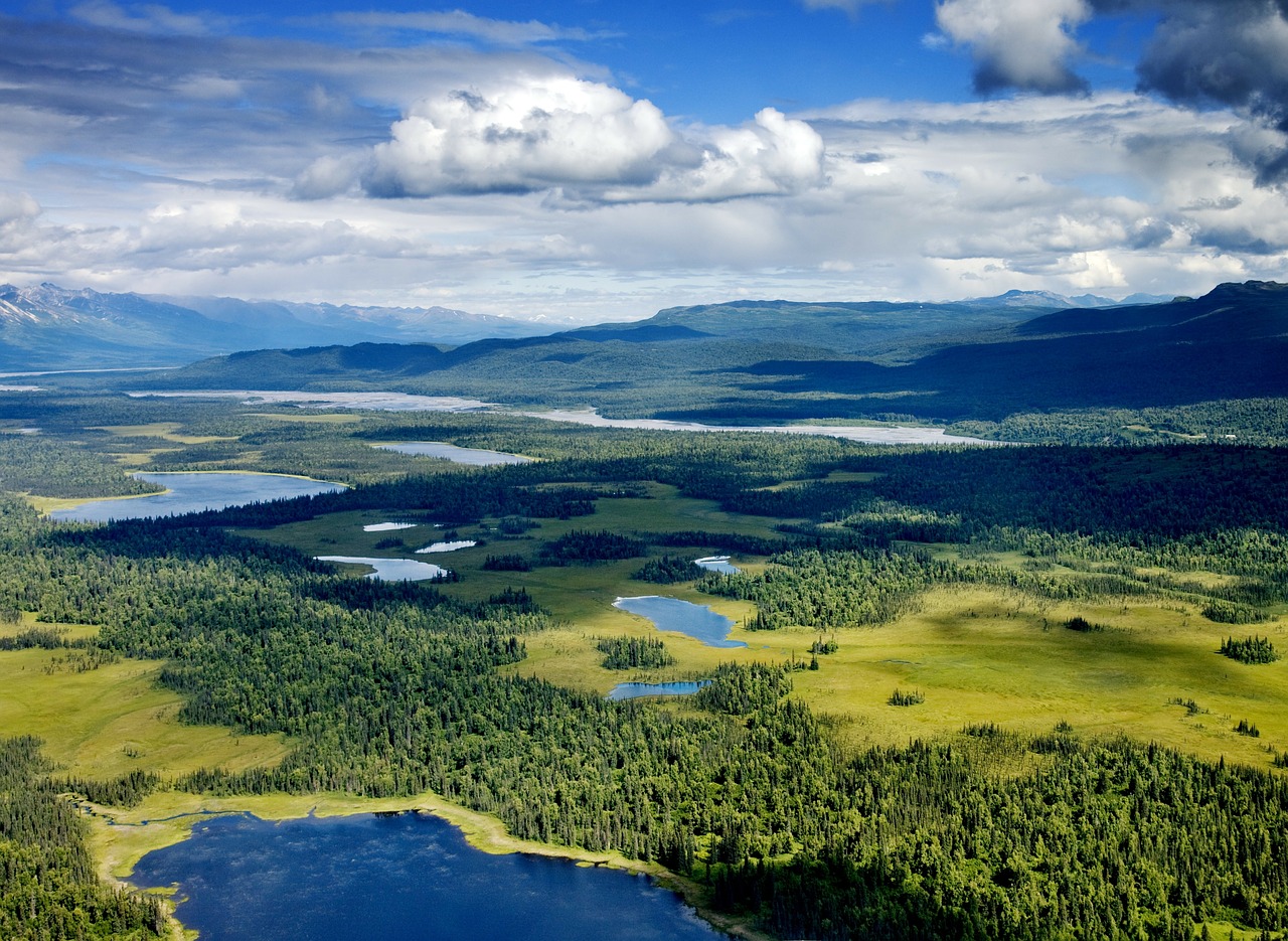 Alaska, Denali, Upė, Vanduo, Ežeras, Kraštovaizdis, Dangus, Debesys, Oro Vaizdas, Dykuma