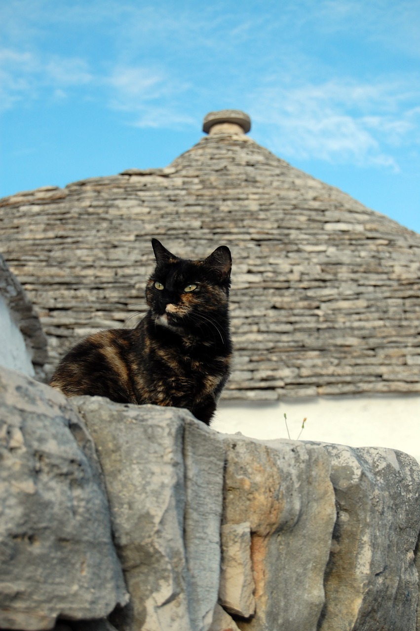 Alberobello,  Kačių,  Trulli,  Apulija, Nemokamos Nuotraukos,  Nemokama Licenzija