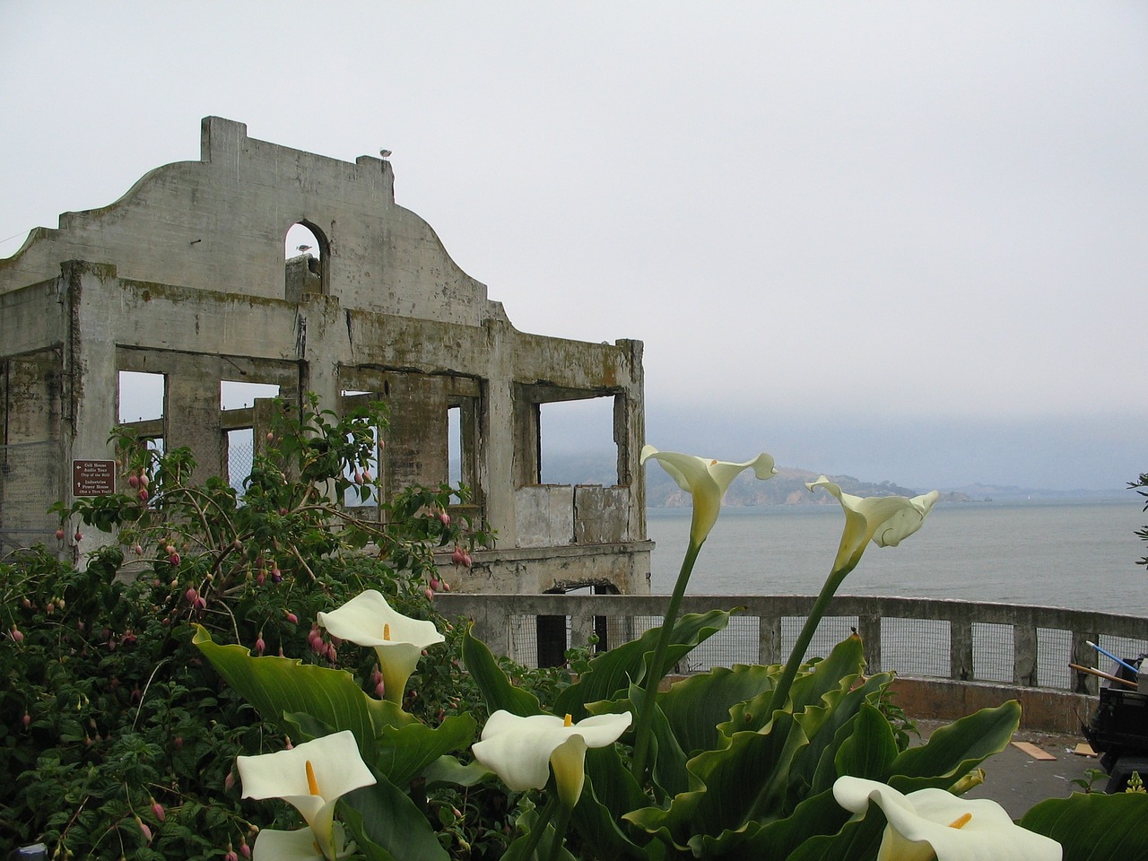Alcatraz, Sala, Kalėjimas, Istorinis, Orientyras, Gėlės, Griuvėsiai, Jūra, San Franciskas, Kalifornija