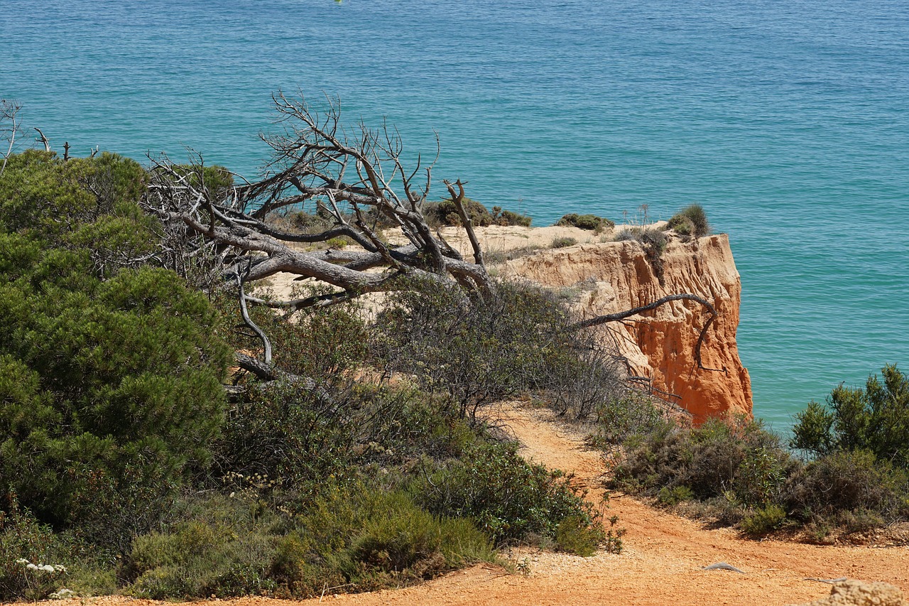 Algarve,  Pakrantės,  Nuvirtusių Medžių,  Jūra,  Pobūdį,  Portugalija,  Rokas,  Faro,  Seascape,  Atostogos