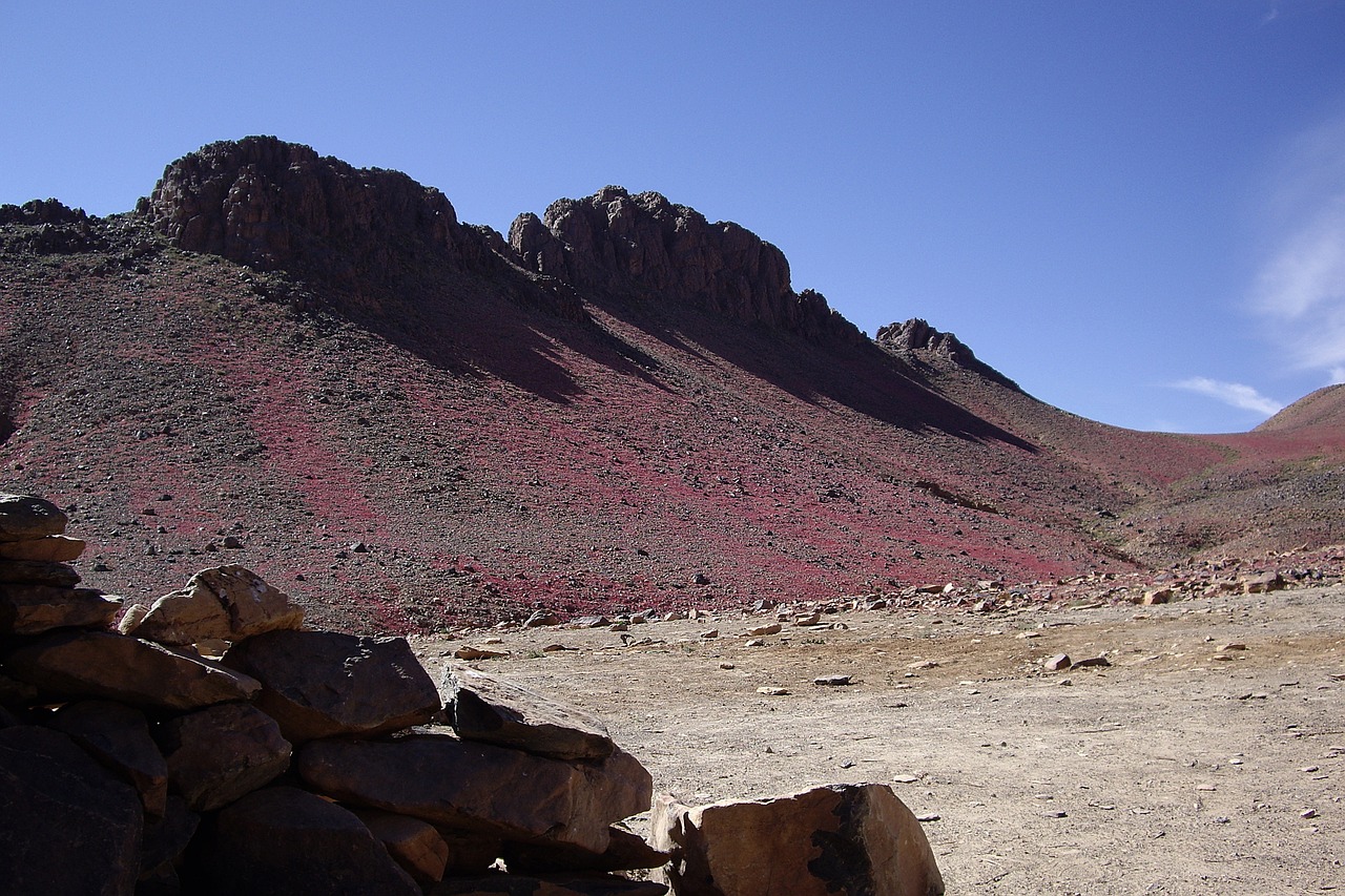 Algeria, Dykuma, Sahara, Asekrem, Hoggar, Erozija, Gėlės, Nemokamos Nuotraukos,  Nemokama Licenzija