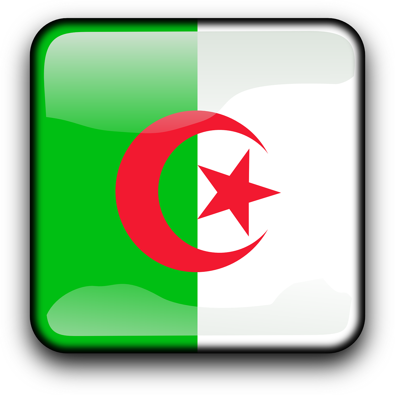 Algeria, Vėliava, Šalis, Tautybė, Kvadratas, Mygtukas, Blizgus, Nemokama Vektorinė Grafika, Nemokamos Nuotraukos,  Nemokama Licenzija
