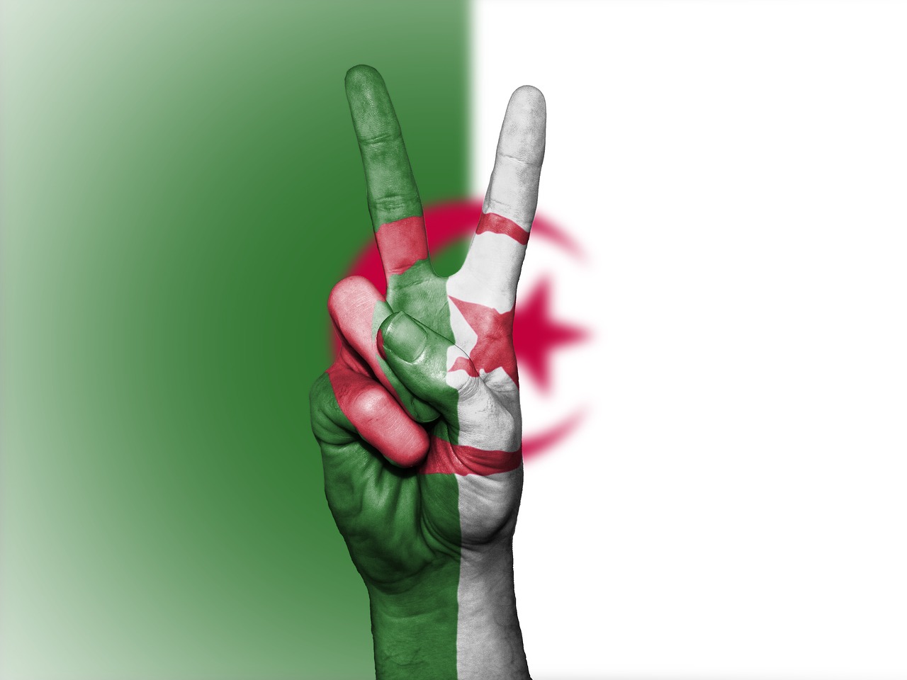 Algeria, Vėliava, Taika, Tauta, Nacionalinis, Vyriausybė, Reklama, Patriotinis, Nepriklausomumas, Tautybė