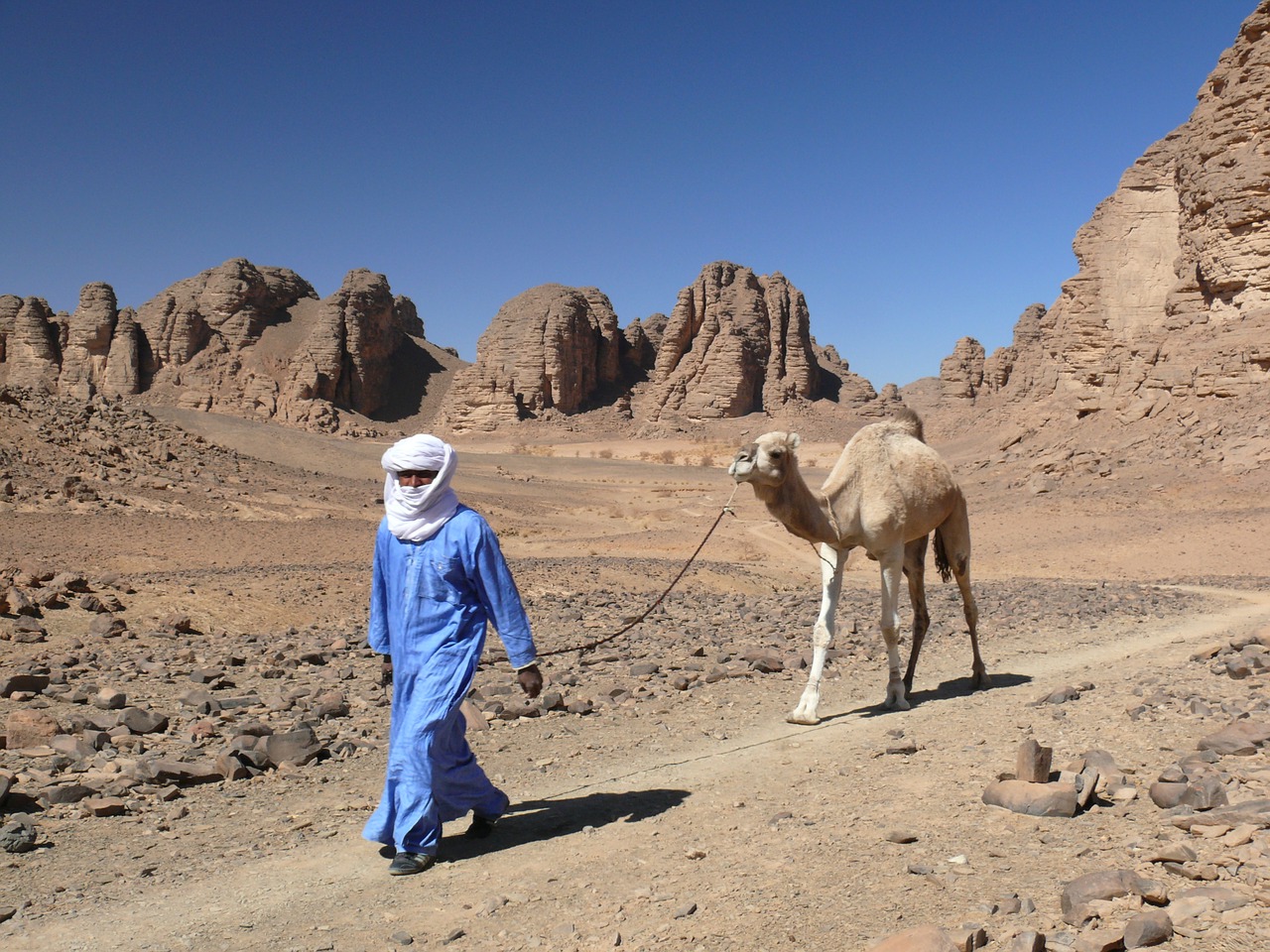 Algeria, Dykuma, Dromedary, Nemokamos Nuotraukos,  Nemokama Licenzija