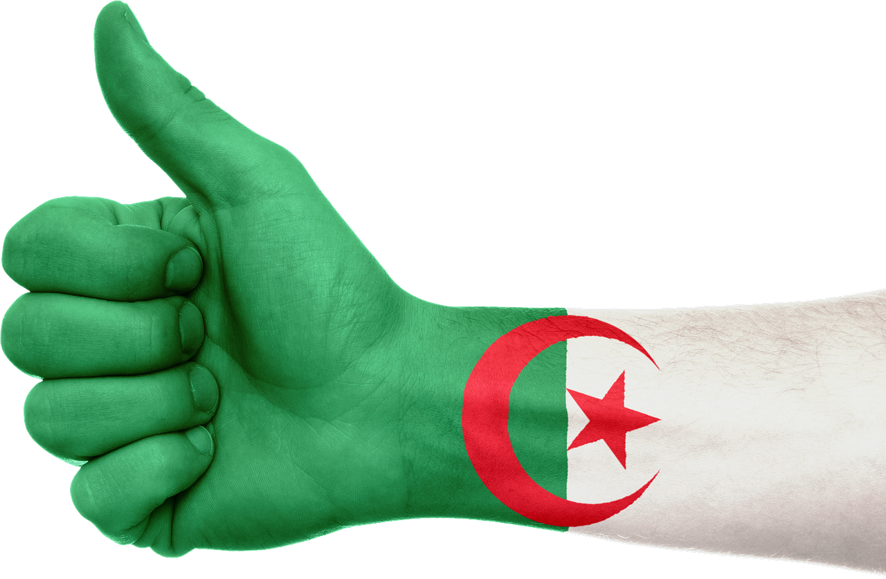 Algeria, Ranka, Vėliava, Patriotinis, Patriotizmas, Afrika, Simbolis, Nykščiai Aukštyn, Ženklas, Nemokamos Nuotraukos