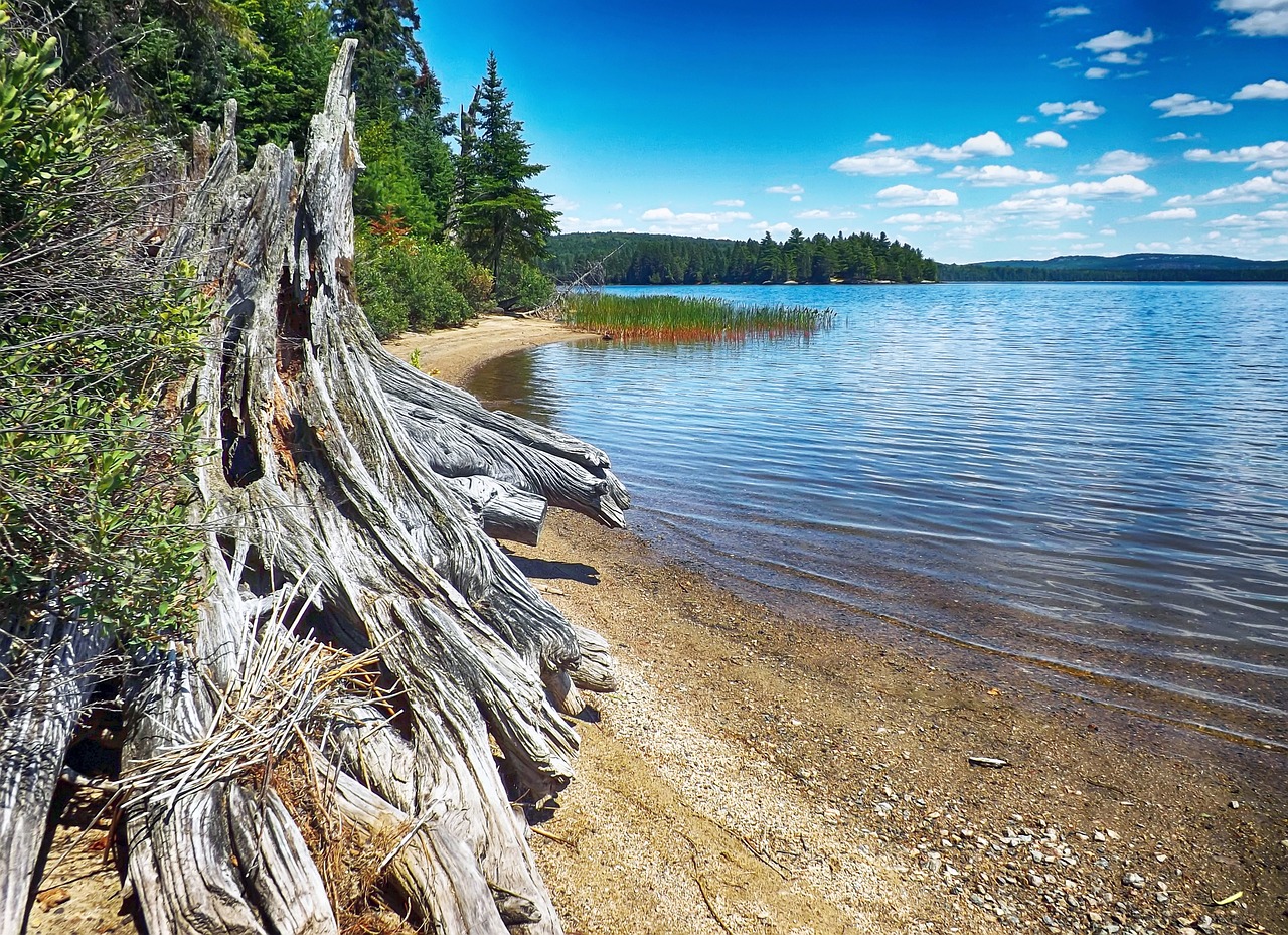 Algonkinas, Kranto Linija, Ežeras, Gamta, Ontarijas, Kraštovaizdis, Dykuma, Nemokamos Nuotraukos,  Nemokama Licenzija