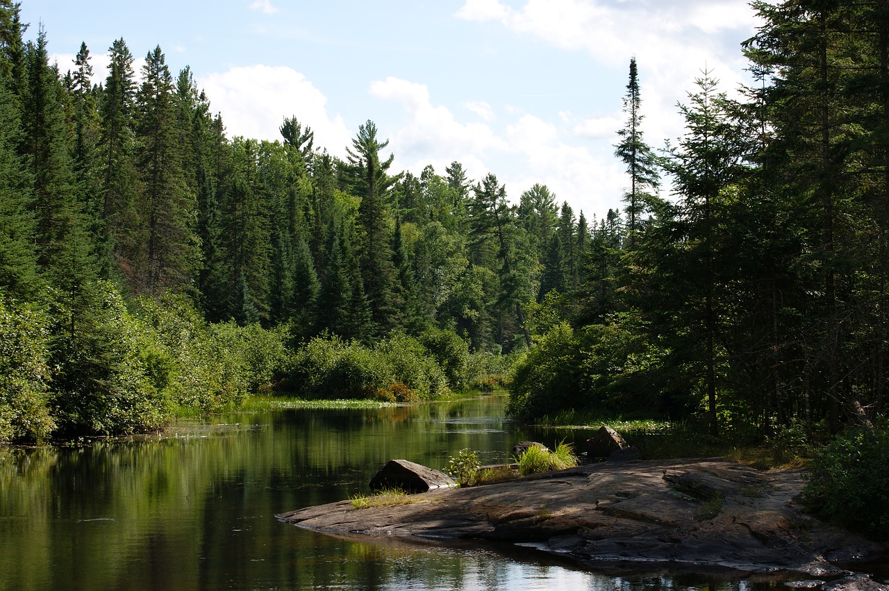 Algonquin Provincijos Parkas, Madawaska Upė, Ontarijas, Kanada, Nemokamos Nuotraukos,  Nemokama Licenzija