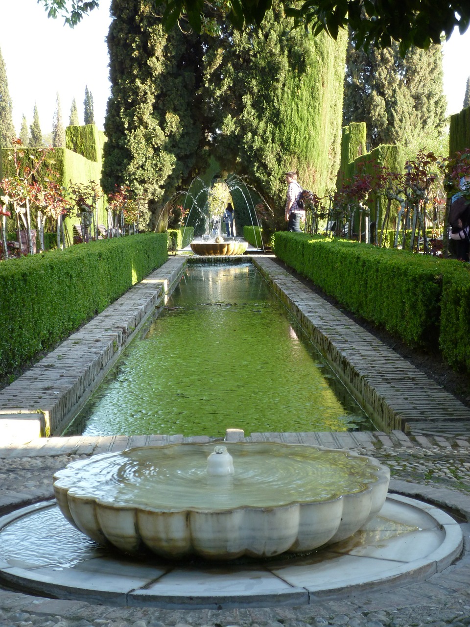 Alhambra, Tvenkinys, Sodai, Architektūra, Rūmai, Medžiai, Nemokamos Nuotraukos,  Nemokama Licenzija