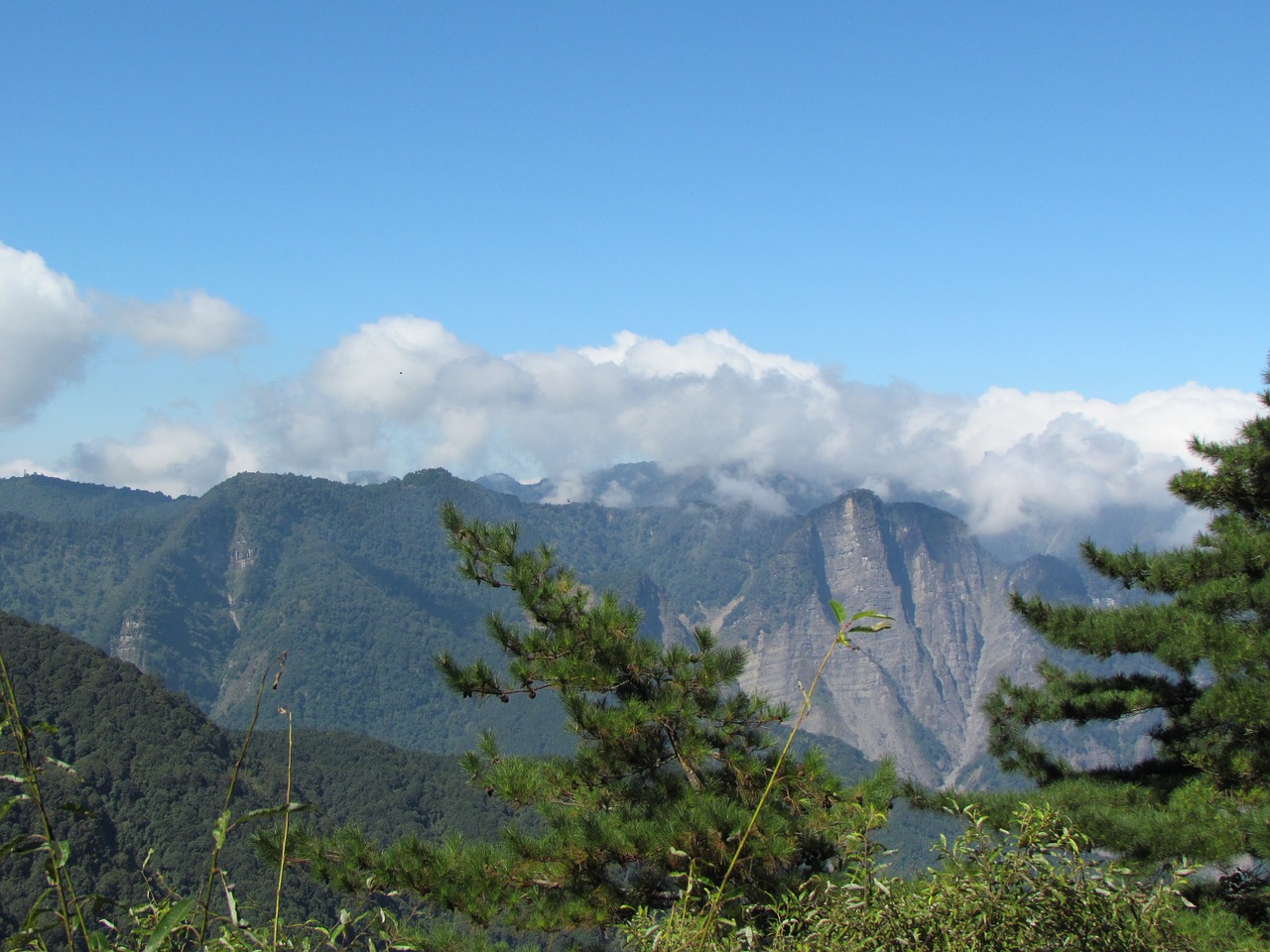 Alishano Nacionalinis Parkas, Aoyama, Natūralus, Nemokamos Nuotraukos,  Nemokama Licenzija