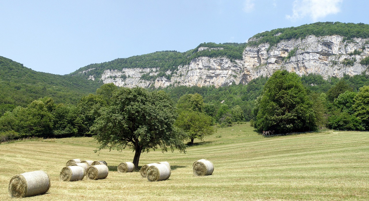 Allèves, Haute-Savoie, France, Laukas, Šienas, Rutuliai, Akmenys, Kraštovaizdis, Kaimas, Žemės Ūkio Paskirties Žemė
