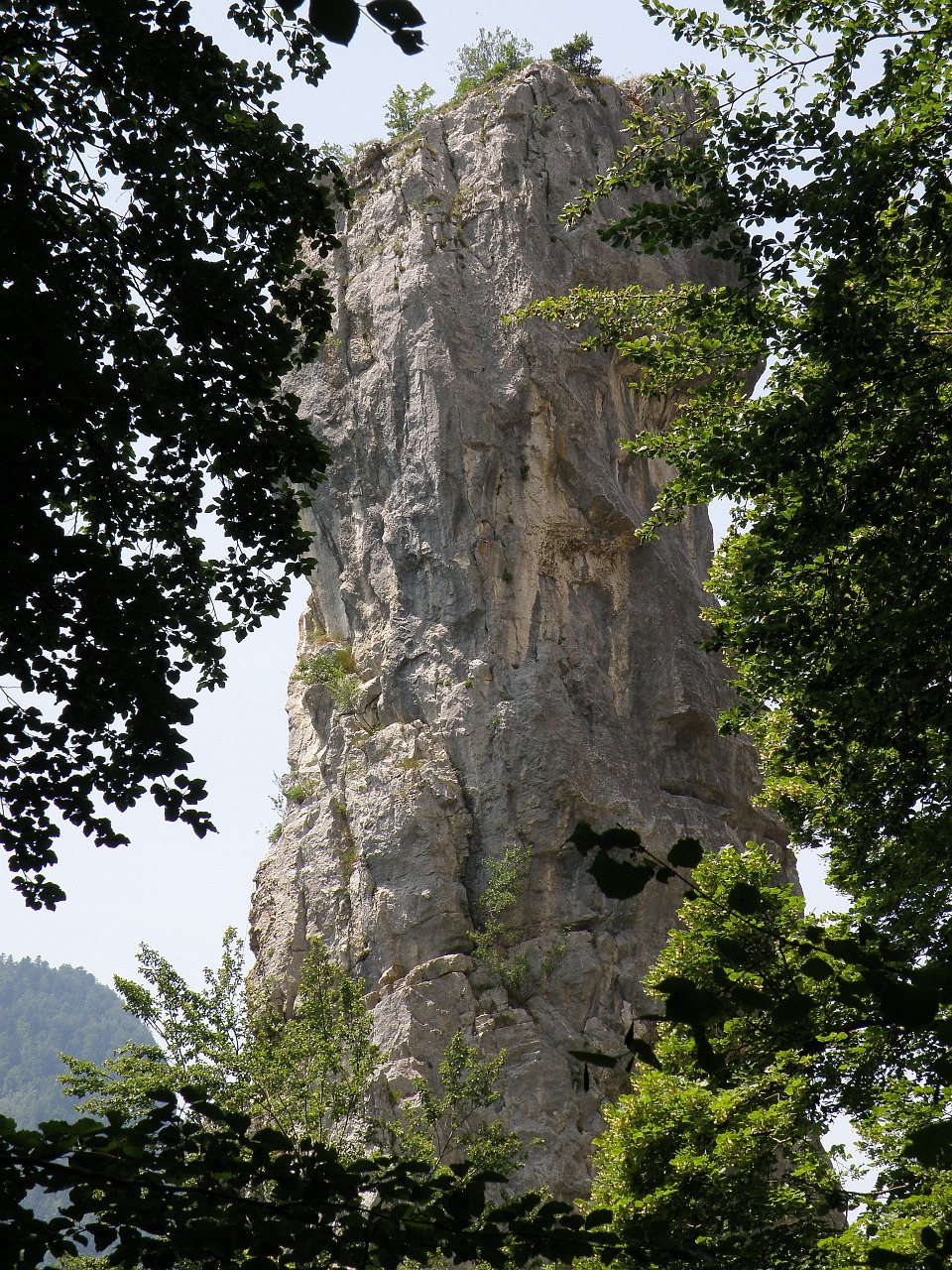 Allèves, Haute-Savoie, France, Turai Saint Jacques, Akmenys, Moutain, Uolos, Miškas, Medžiai, Formavimas